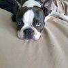lizziebetha